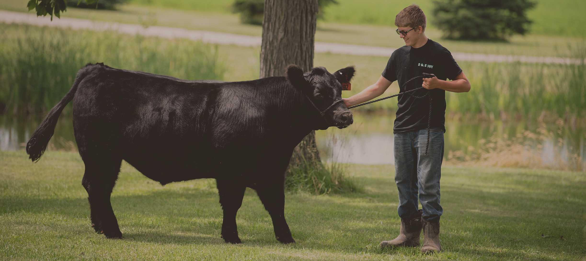 Fox Valley Veterinary Service Veterinarian in Burlington, WI